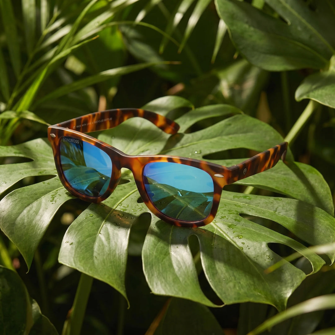 Lentes sol Acacia RPET Carey polarizados UV400 composicion botanica hoja monstera tropical Bonoboss #color_espejado-azul