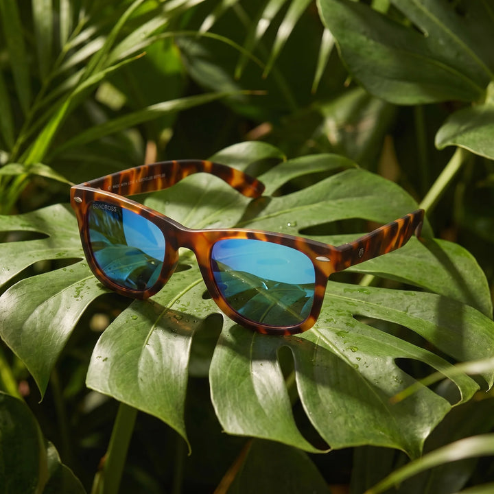 Lentes sol Acacia RPET Carey polarizados UV400 composicion botanica hoja monstera tropical Bonoboss #color_espejado-azul