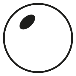 Bifocal Tradicional (Con Oblea)