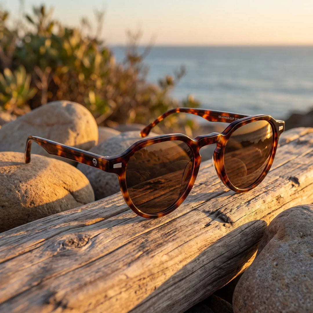 Lentes de sol Bonoboss Galápagos Carey sobre madera y rocas junto al mar al atardecer #editorial_grid2 #color_carey