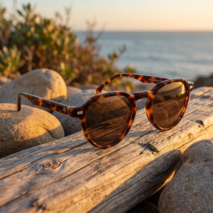 Lentes de sol Bonoboss Galápagos Carey sobre madera y rocas junto al mar al atardecer #editorial_grid2 #color_carey