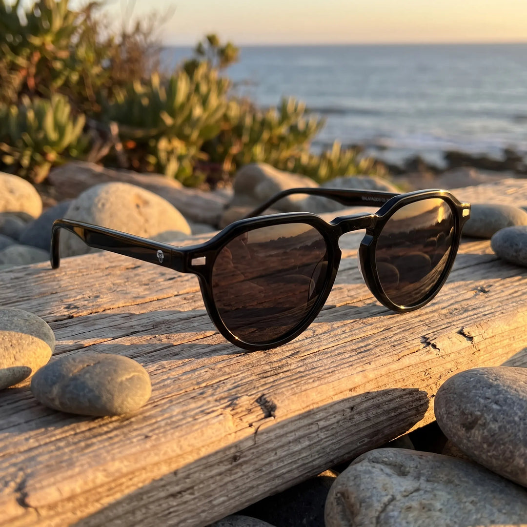 Lentes de sol Bonoboss Galápagos Negro sobre madera y rocas junto al mar al atardecer #editorial_grid2 #color_negro