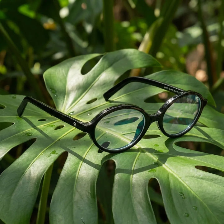 Lentes opticos Guapi Island Negro composicion botanica natural sustentable antirreflex receta optica bio-acetato Bonoboss #editorial_botanico #color_negro