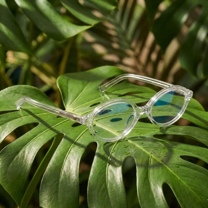 Lentes opticos Guapi Transparente composicion botanica natural sustentable antirreflex receta optica bio-acetato Bonoboss #editorial_botanico #color_transparente