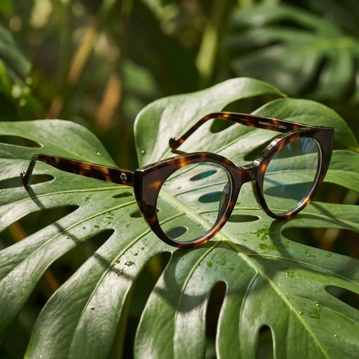 Frontal Hannover lentes ópticos hombre estampado tortuga carey diseño ligero #color_carey