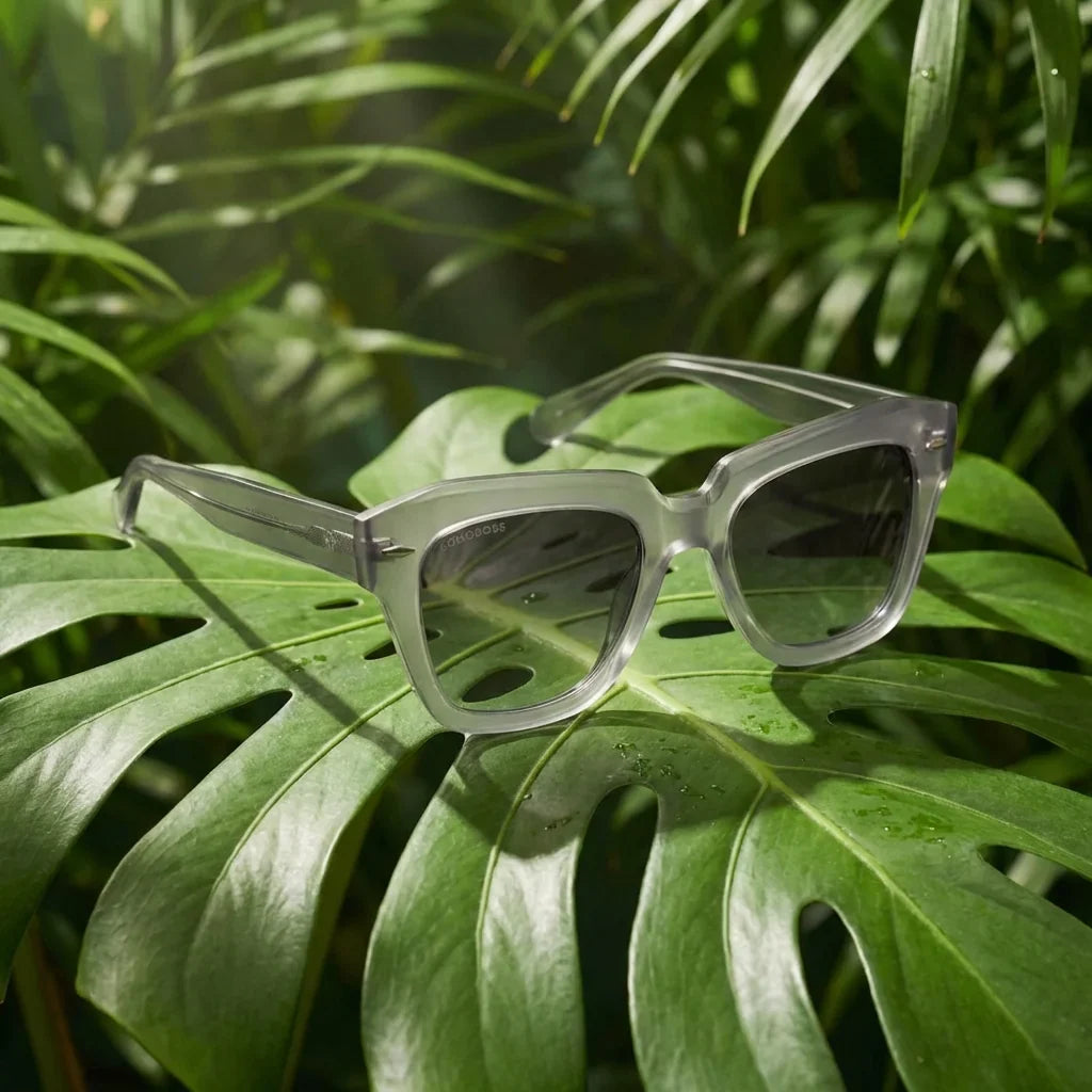 Lentes sol Selkie Retro polarizados bio-acetato biodegradable transparente composicion botanica hoja monstera Bonoboss #editorial_grid2 #color_transparente