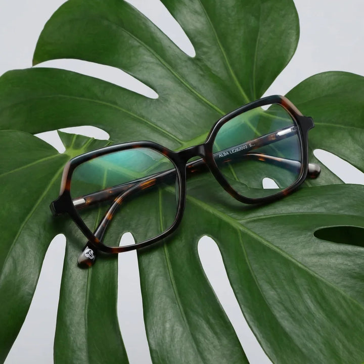 Lentes ópticos Alba Carey entre hojas botánicas naturales diseño sustentable Bonoboss #editorial_sustentabilidad #color_carey