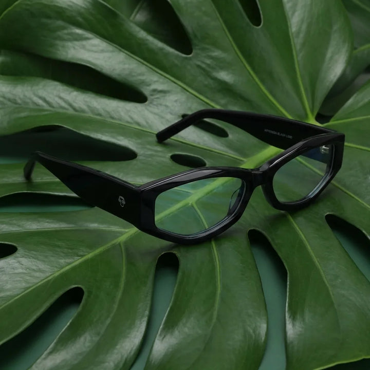 Lentes ópticos Artemisa Negro entre hojas botánicas naturales diseño sustentable Bonoboss #editorial_sustentabilidad #color_negro
