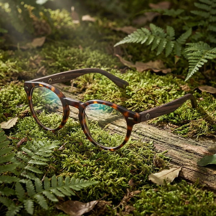 Lentes ópticos Chiloe Naranja en bosque verde natural diseño sustentable Bonoboss #editorial_sustentabilidad #color_naranja