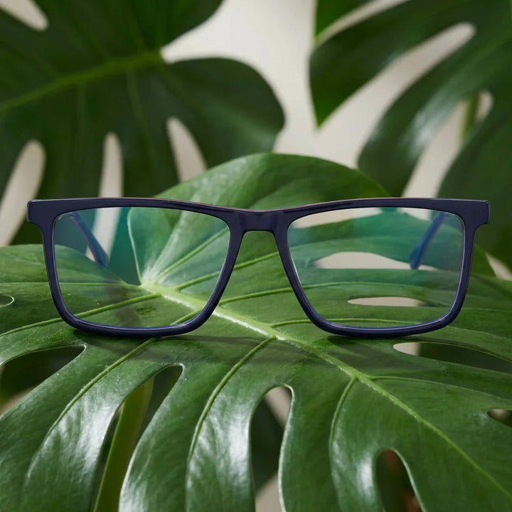 Lentes ópticos Condor Azul entre hojas botánicas naturales diseño sustentable Bonoboss #editorial_sustentabilidad #color_azul