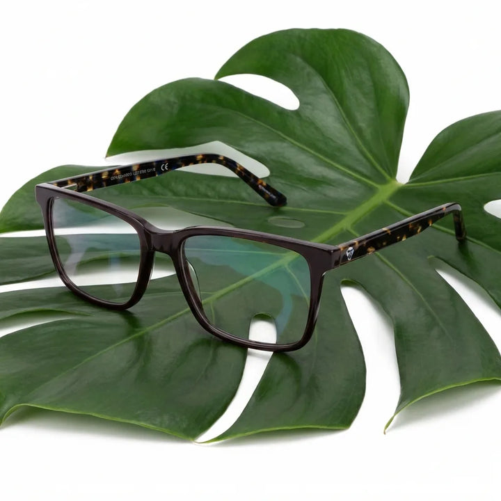 Lentes ópticos Don Eduardo Brown entre hojas botánicas naturales diseño sustentable Bonoboss #editorial_sustentabilidad #color_brown