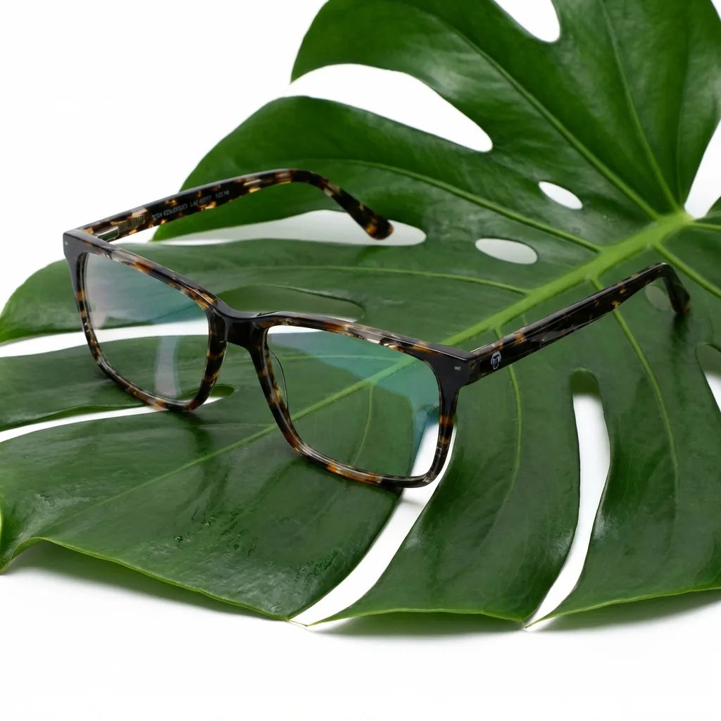 Lentes ópticos Don Eduardo Marble entre hojas botánicas naturales diseño sustentable Bonoboss #editorial_sustentabilidad #color_marble