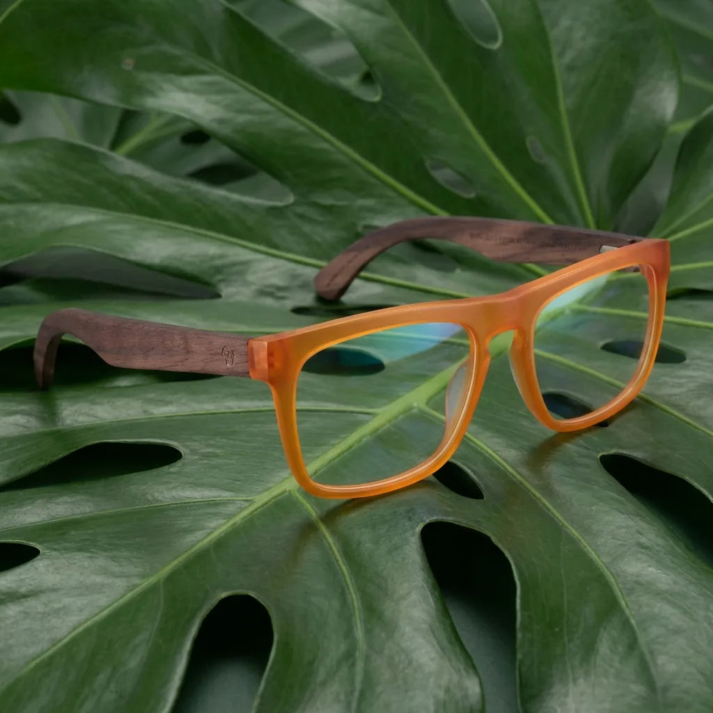 Lentes ópticos Lautaro entre hojas botánicas naturales diseño sustentable Bonoboss #editorial_sustentabilidad #color_default