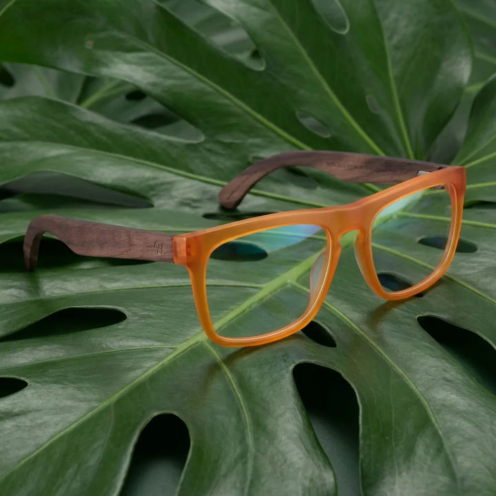 Lentes ópticos Lautaro entre hojas botánicas naturales diseño sustentable Bonoboss #editorial_sustentabilidad #color_default