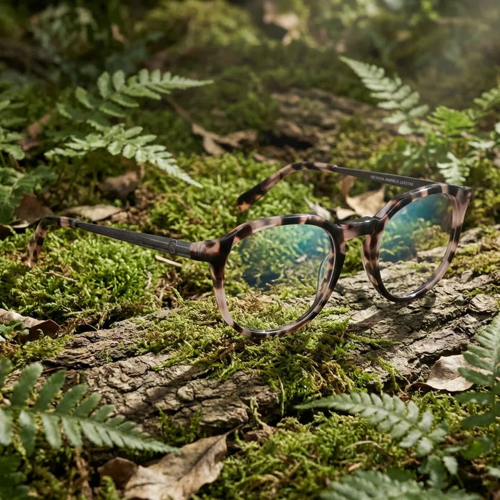 Lentes ópticos Octavia Marble en bosque verde natural diseño sustentable Bonoboss #editorial_sustentabilidad #color_marble