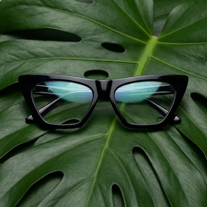 Lentes ópticos Rosario Negro entre hojas botánicas naturales diseño sustentable Bonoboss #editorial_sustentabilidad #color_negro