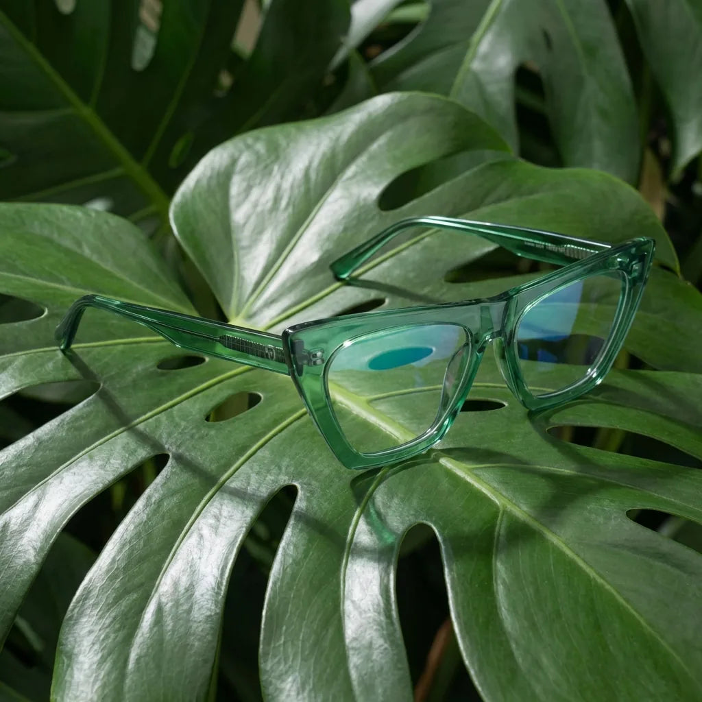 Lentes ópticos Rosario Verde entre hojas botánicas naturales diseño sustentable Bonoboss #editorial_sustentabilidad #color_verde