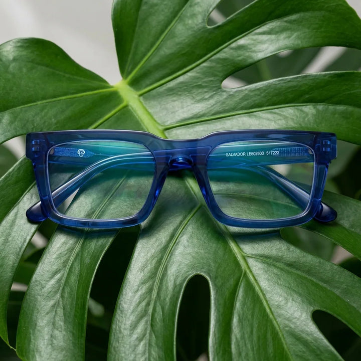 Lentes ópticos Salvador Azul entre hojas botánicas naturales diseño sustentable Bonoboss #editorial_sustentabilidad #color_azul