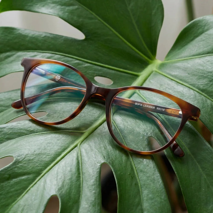 Lentes ópticos Sofia Carey entre hojas botánicas naturales diseño sustentable Bonoboss #editorial_sustentabilidad #color_carey