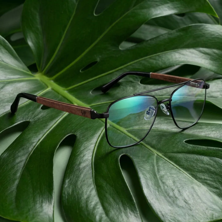 Lentes ópticos Tito Negro entre hojas botánicas naturales diseño sustentable Bonoboss #editorial_sustentabilidad #color_negro