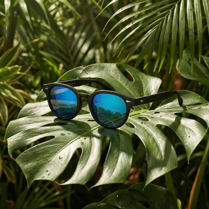 Lentes sol Waimea polarizados RPET reciclado del oceano dark sky sobre hoja monstera tropical naturaleza Bonoboss #editorial_grid2 #color_espejado-azul