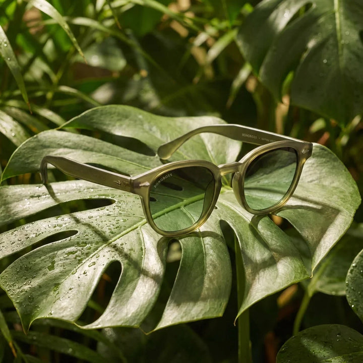 Lentes sol Waimea polarizados RPET reciclado del oceano olive light sobre hoja monstera tropical naturaleza Bonoboss #editorial_grid2 #color_olive-light