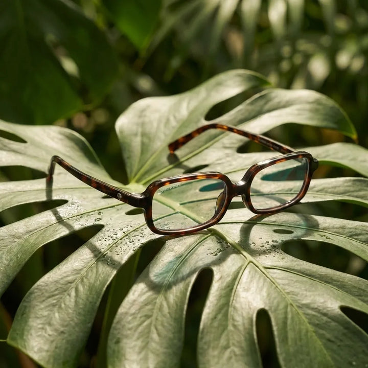 Lentes opticos Navarino Carey composicion botanica natural sustentable antirreflex receta optica bio-acetato Bonoboss #editorial_botanico #color_carey