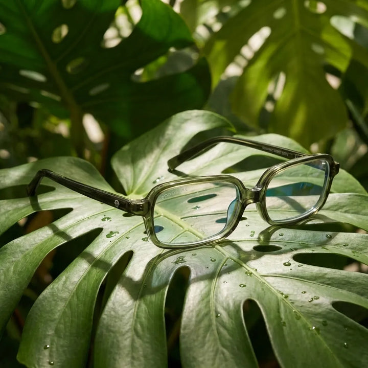 Lentes opticos Navarino Verde composicion botanica natural sustentable antirreflex receta optica bio-acetato Bonoboss #editorial_botanico #color_verde
