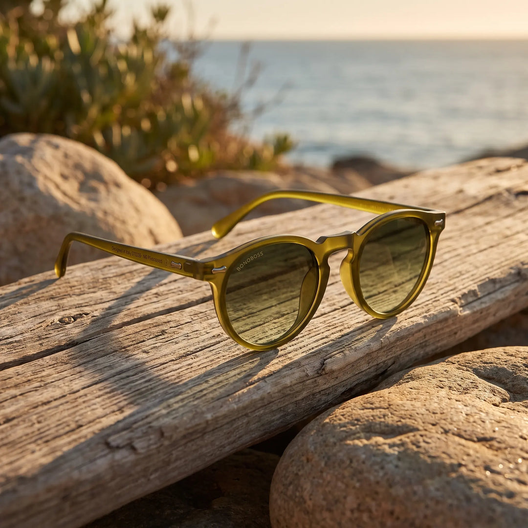 Lentes de sol Bonoboss Temuco RPET Olive Light sobre madera y rocas junto al mar al atardecer #editorial_grid2 #color_olive-light
