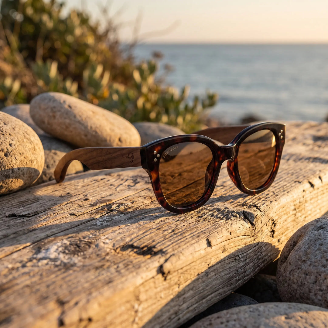 Lentes de sol Bonoboss Tren Tren Carey sobre madera y rocas junto al mar al atardecer #editorial_grid2 #color_carey