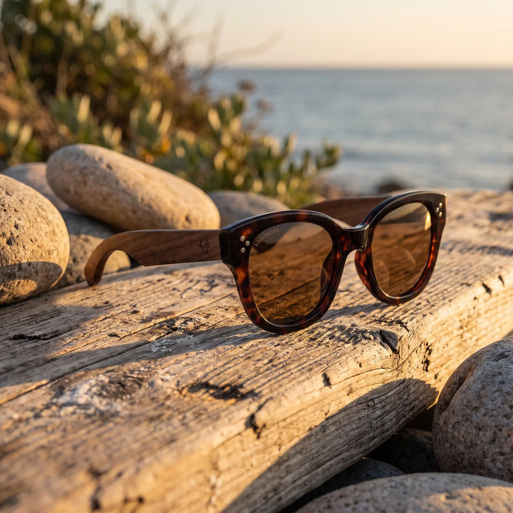 Lentes de sol Bonoboss Tren Tren Carey sobre madera y rocas junto al mar al atardecer #editorial_grid2 #color_carey