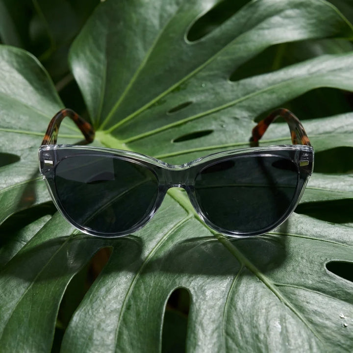 Vesta lentes ópticos transparente botanico hoja frontal Bonoboss #color_transparente
