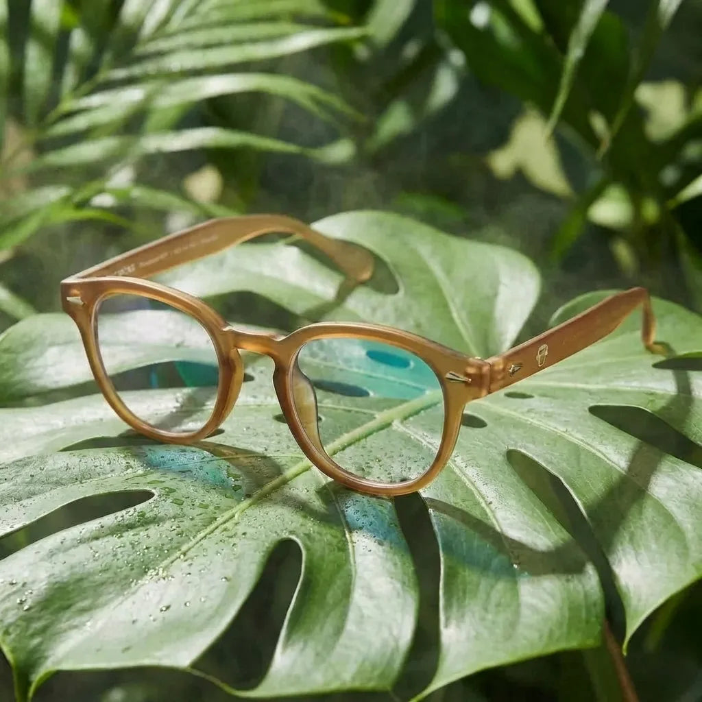 Lentes opticos Waimea RPET brown antirreflex receta optica Bonoboss #color_brown