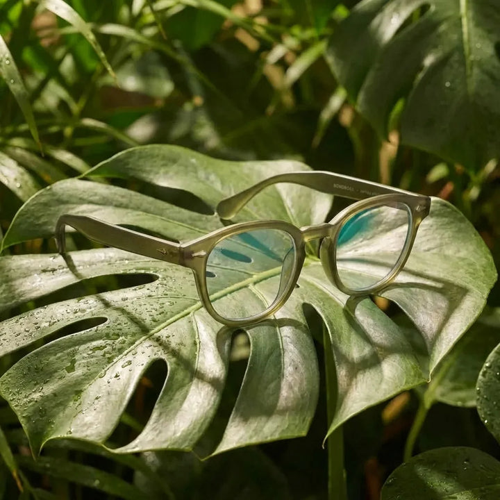Lentes opticos Waimea RPET olive-light antirreflex receta optica Bonoboss #color_olive-light